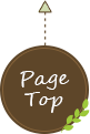 Page-top